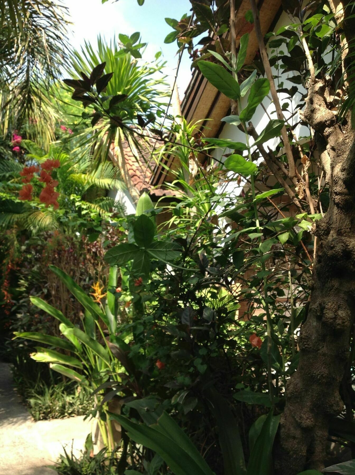Gili Nyepi Hotel Gili Trawangan Exterior photo
